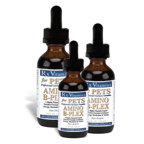 RX Vitamin Amino B Plex 4oz
